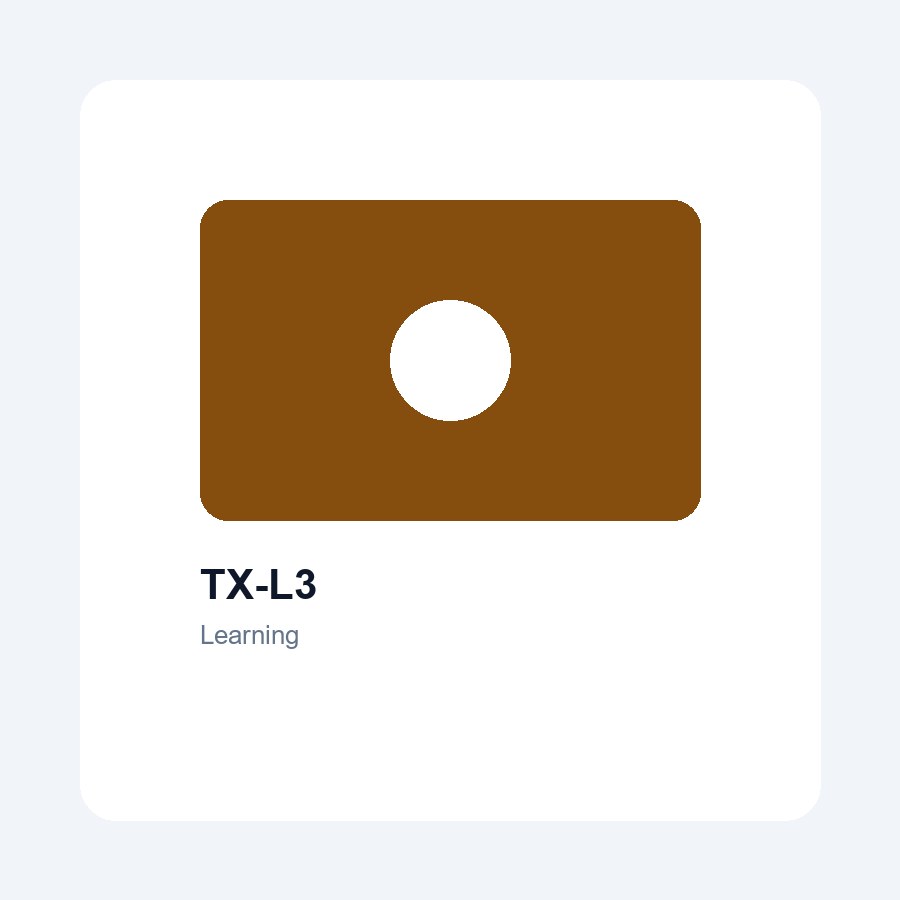 TX-L3 Reading Pen